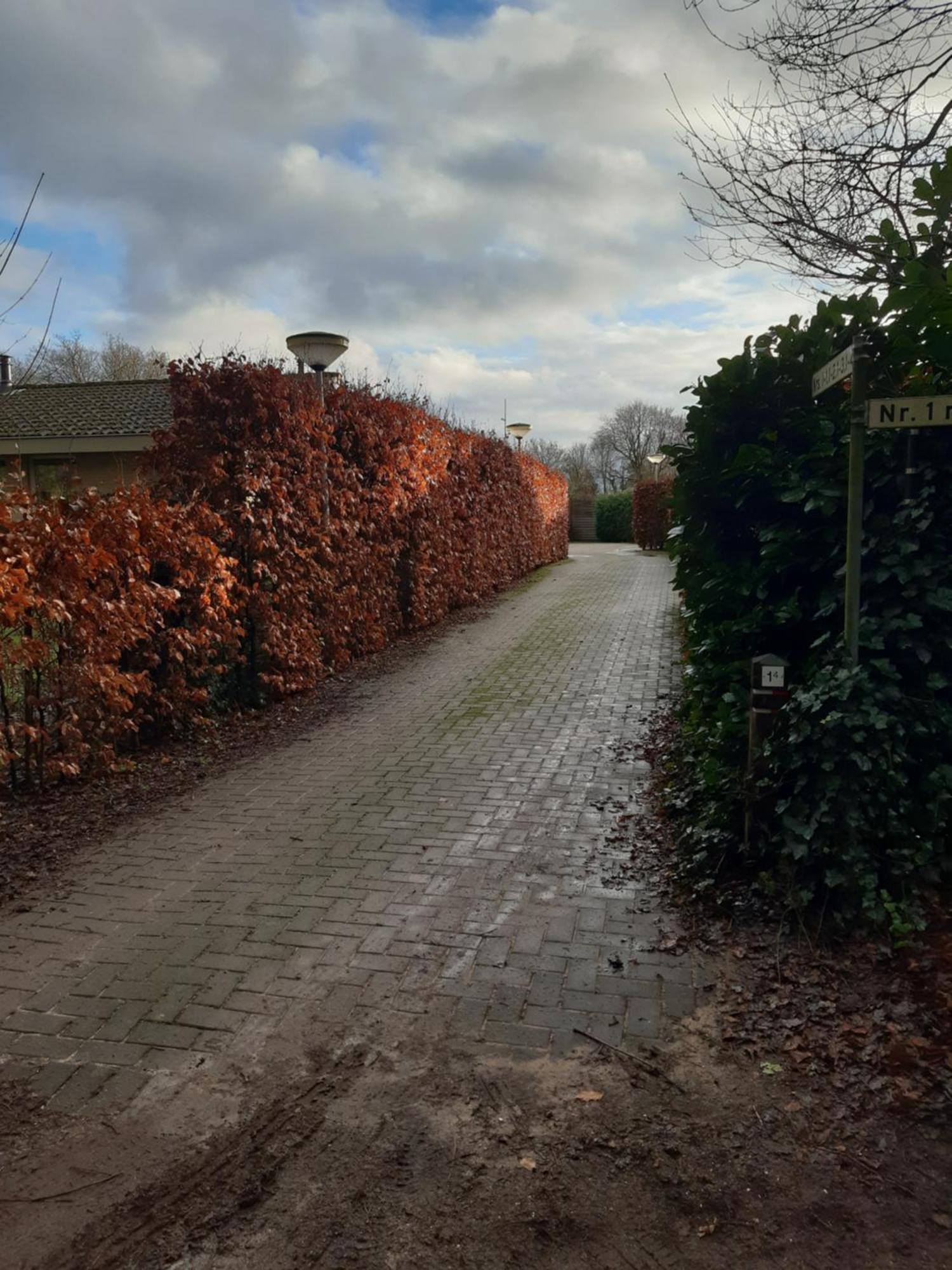 Villa Huinerhofje 3 Vrijstaand op privépark aan bosrand Putten Exterior foto